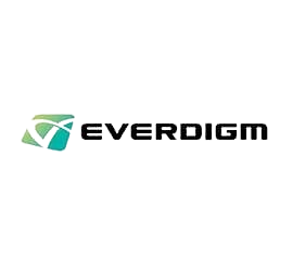 EVERDIGM Logo